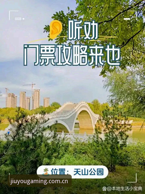 5个让九游官网登录不迷路的实用技巧（附2025新版避坑指南）